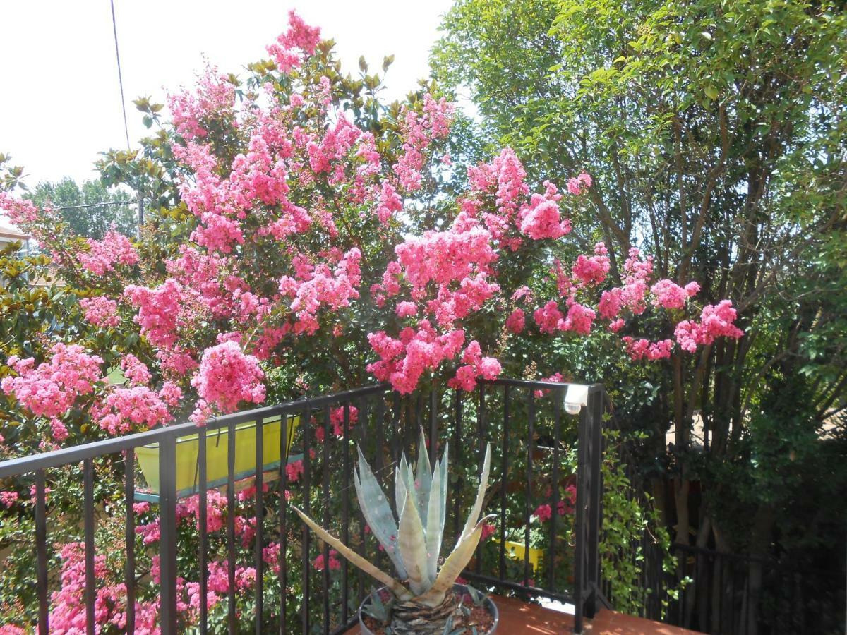 Maison Monica Exeptionnel-Jardin Paysage Zen Coursan Ngoại thất bức ảnh