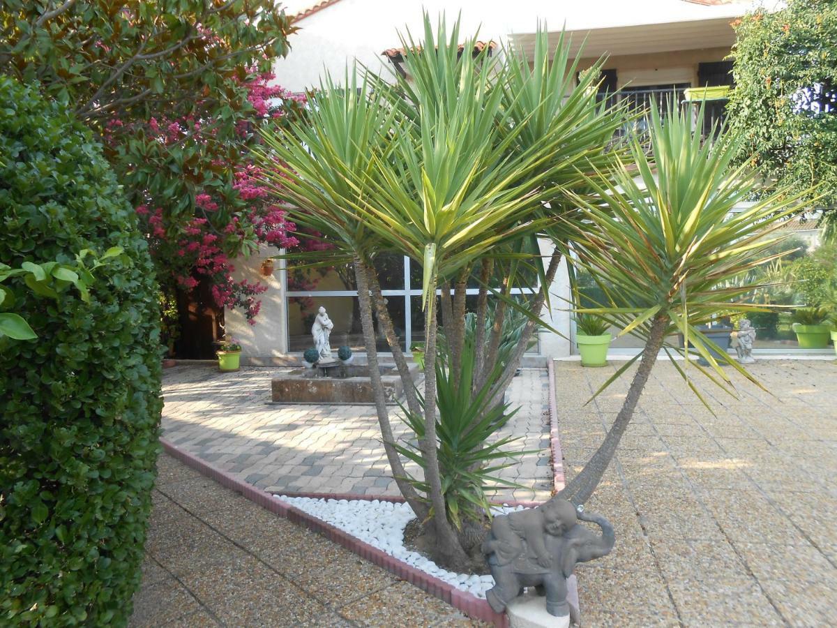 Maison Monica Exeptionnel-Jardin Paysage Zen Coursan Ngoại thất bức ảnh